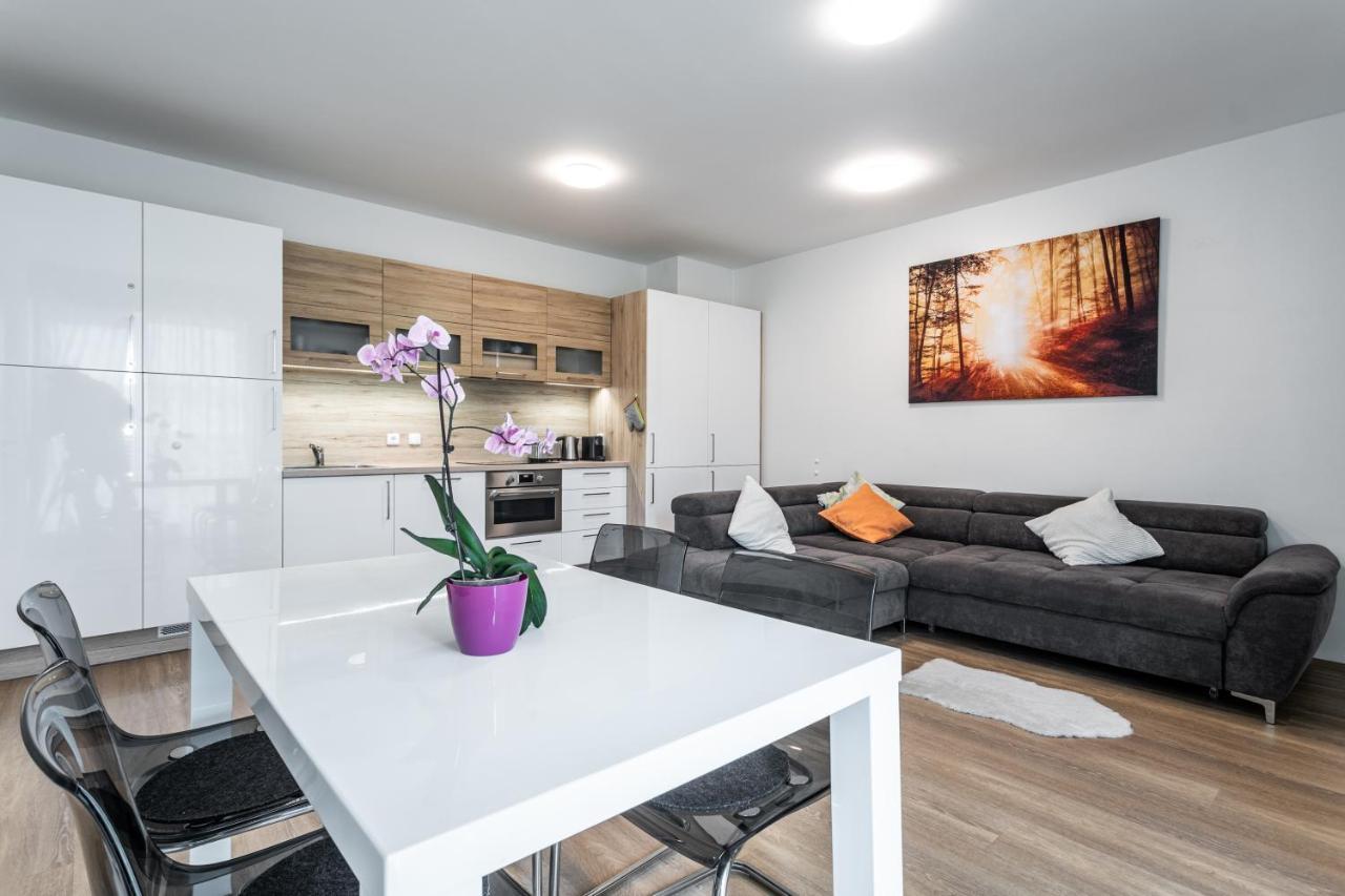 Mountain Apartments Klinovec Hexagon Loučná pod Klínovcem Buitenkant foto